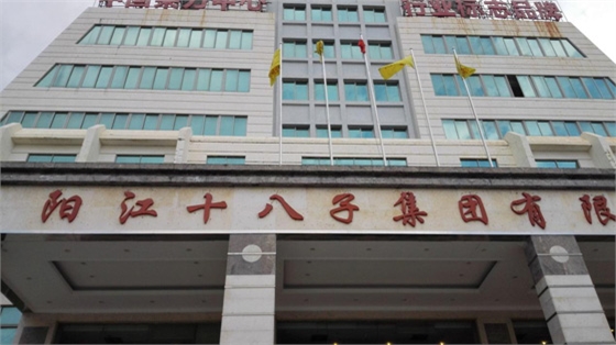 陽(yáng)江十八字公司
